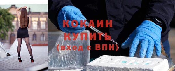 бошки Бронницы