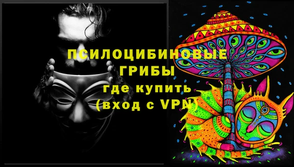 бошки Бронницы