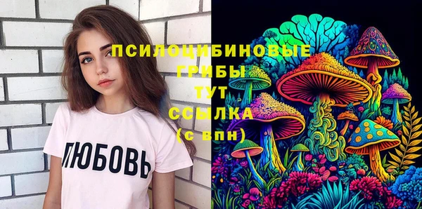 бошки Бронницы